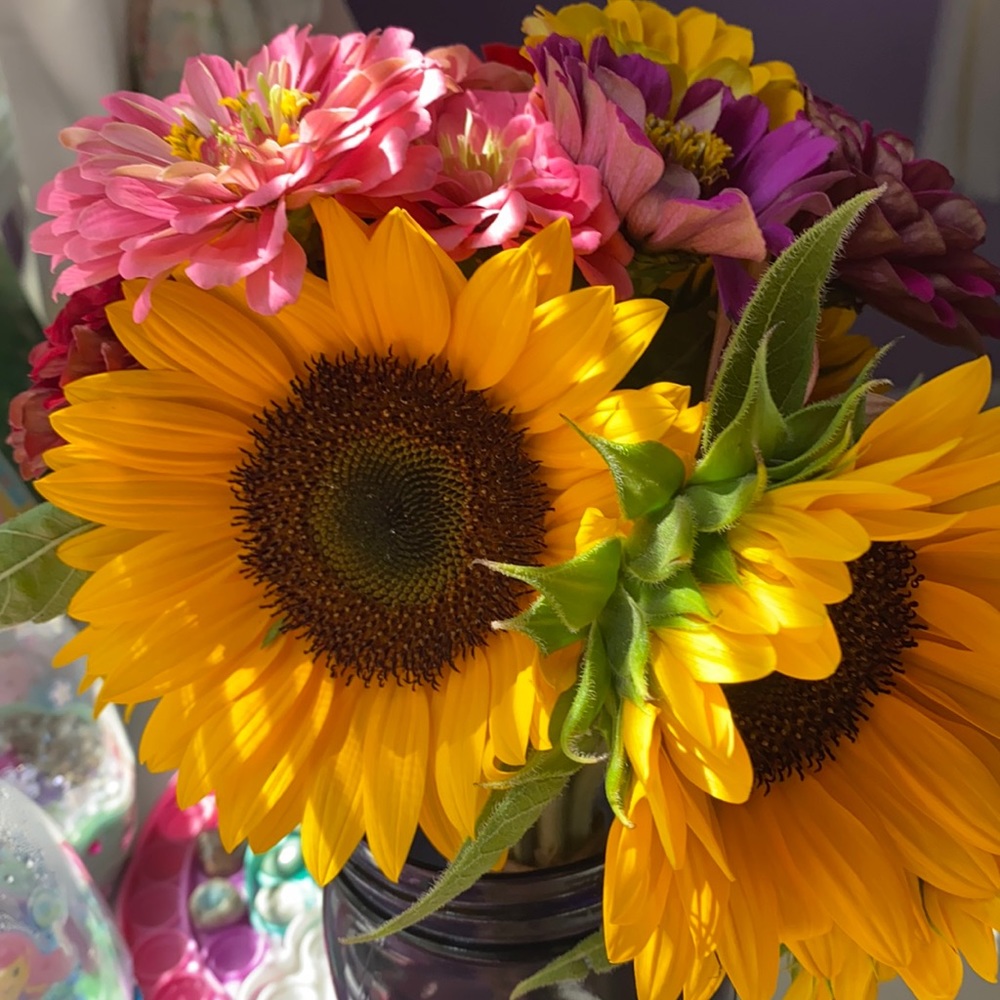 Meet your Posher, Christy